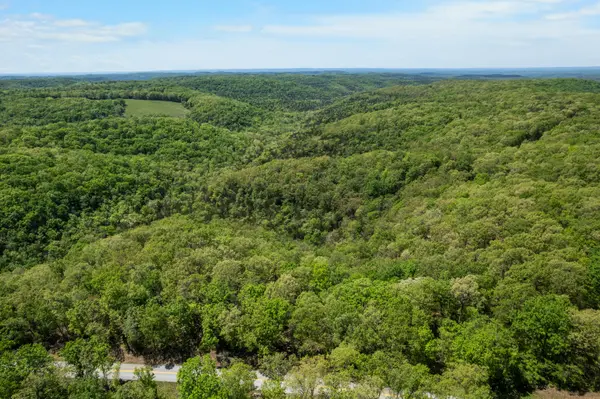6891 N State Highway 125, Bradleyville, MO 65614
