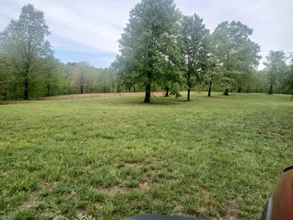 40 Acres State Road D, Camdenton, MO 65020