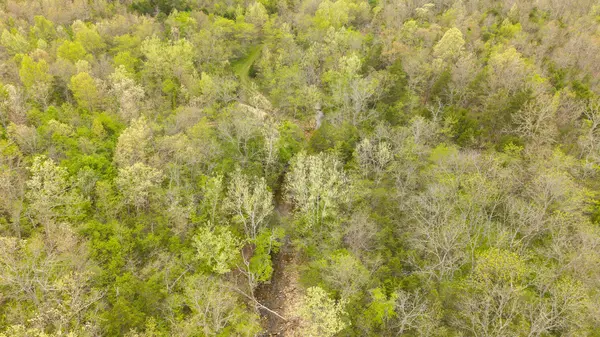 000 Crooked Creek RD, Hartville, MO 65667