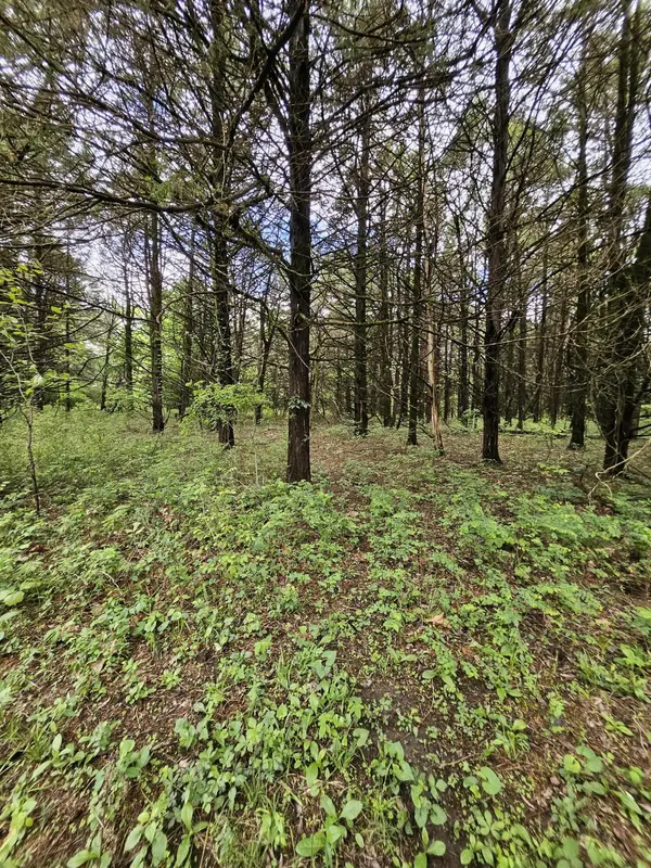 000 W Dade 2, Jerico Springs, MO 64756