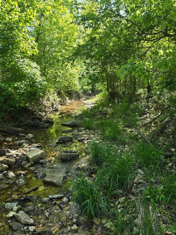 0000 Cedar Gap Central LN, Mansfield, MO 65704