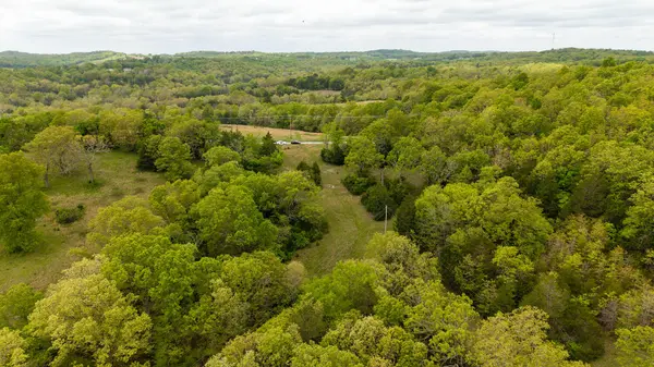 000 Foxden Drive, Gainesville, MO 65655