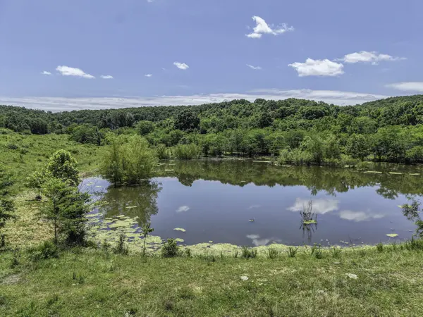 23605 County Road U-112, Norwood, MO 65717