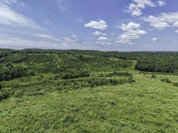 000 County Road 123, Norwood, MO 65717
