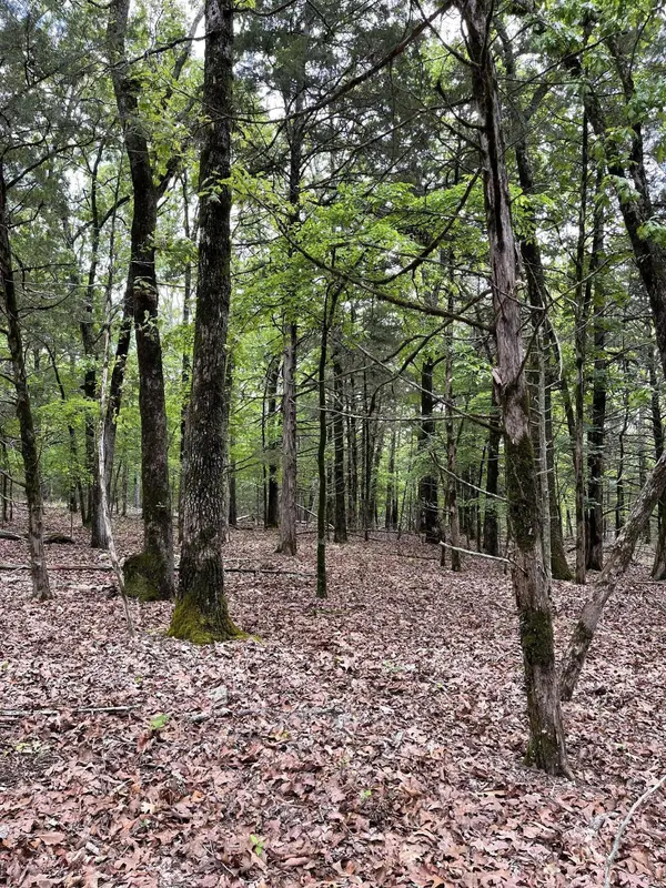 Lot 40&41 Timber Shoals Road, Cedar Creek, MO 65627