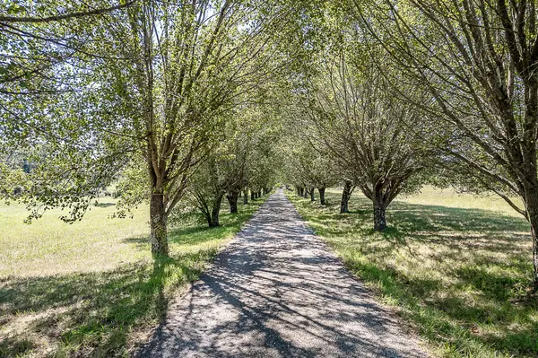 000 W Copper Creek DR, Nixa, MO 65714