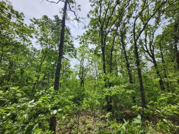 00 Thomas RD, Norwood, MO 65717