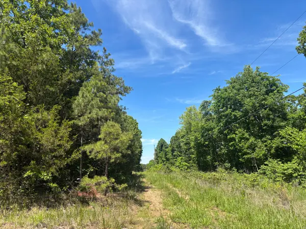 Tbd County Road 154, Brixey, MO 65618