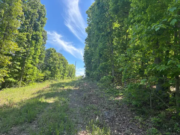 Tbd County Road 154, Brixey, MO 65618