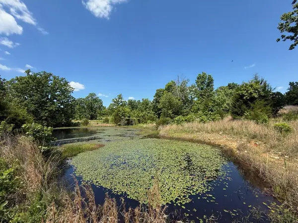 10346 Highway 289, Mammoth Spring, AR 72554