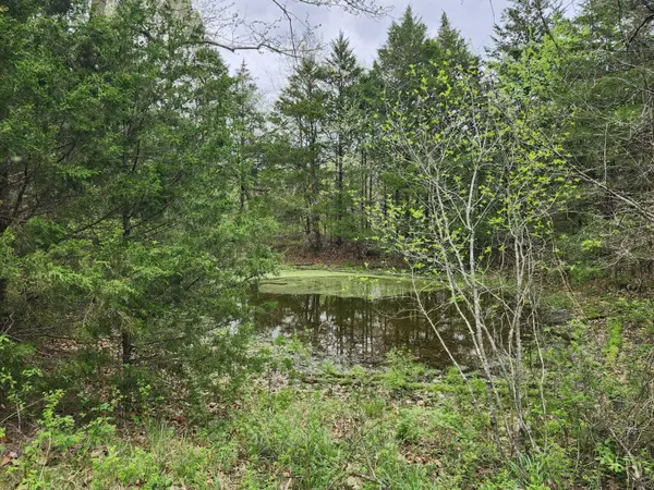 000 County Road 250-163, Drury, MO 65638
