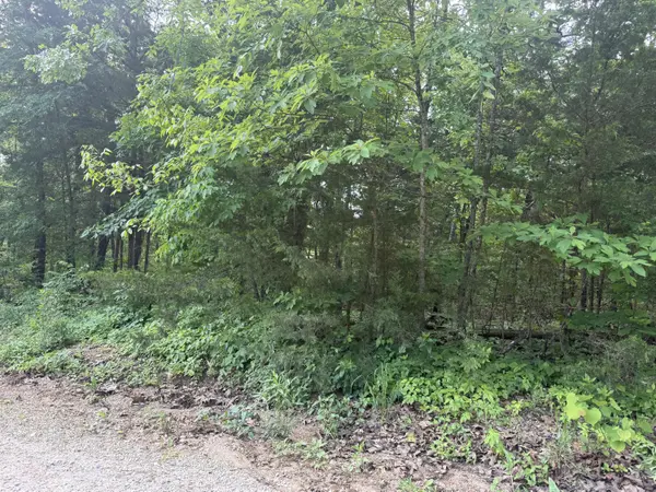 140 Trout ST, Kissee Mills, MO 65680