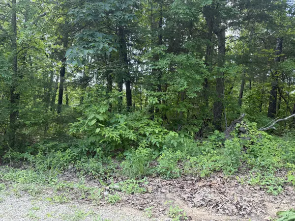 140 Trout ST, Kissee Mills, MO 65680