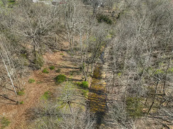 485 Jaguar RD, Goodman, MO 64843