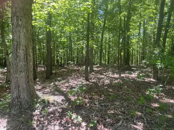 L42a & 43a Eaglecrest RD, Cape Fair, MO 65624