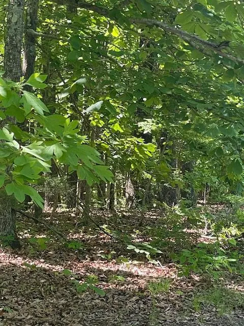 L42a & 43a Eaglecrest RD, Cape Fair, MO 65624