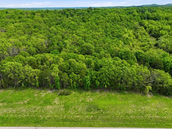 23736 State Highway 5, Wasola, MO 65773