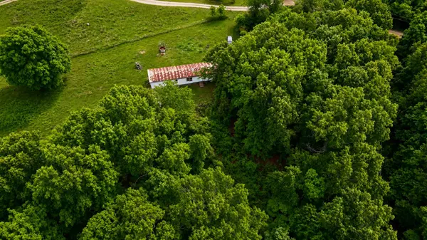 113 Wanda Drive, Squires, MO 65755