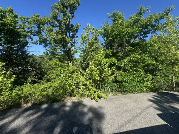 360 Timber Wolf RD #Lot 1, Hollister, MO 65672