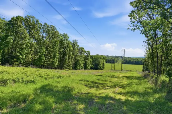 Lot 8 Highway 32, Stockton, MO 65785