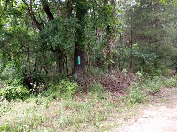15734 Farm Road 2140, Cassville, MO 65625