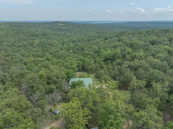 164 Sweet Home TRL, Theodosia, MO 65761
