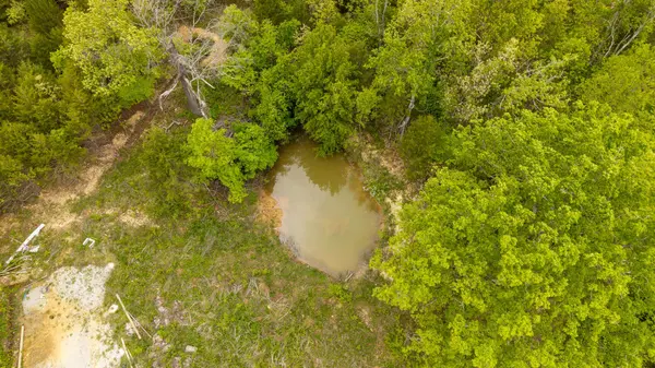 291 County Road 804, Gainesville, MO 65655