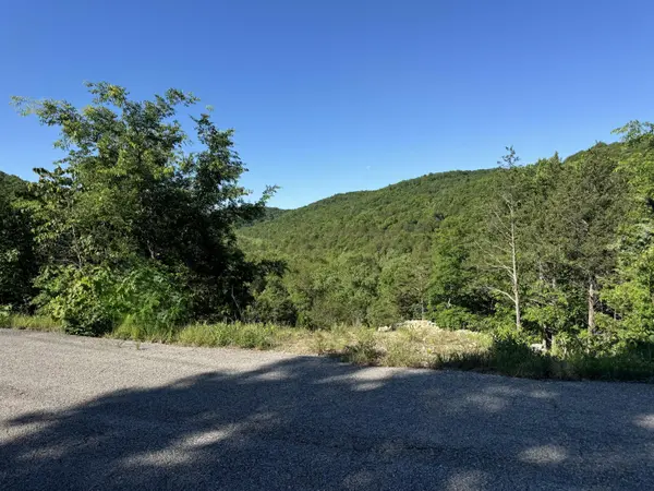 280 Timber Wolf RD #Lot 10, Hollister, MO 65672