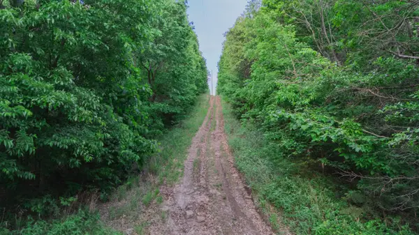 001 S 52nd RD, Dunnegan, MO 65640