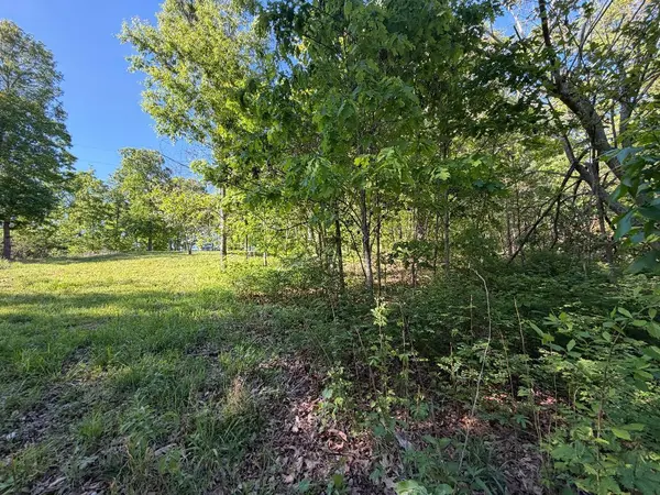 15748 Sargent RD, Willow Springs, MO 65793