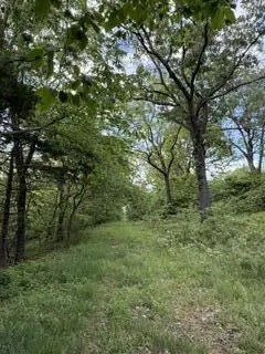 1373 E 470th RD, Bolivar, MO 65613