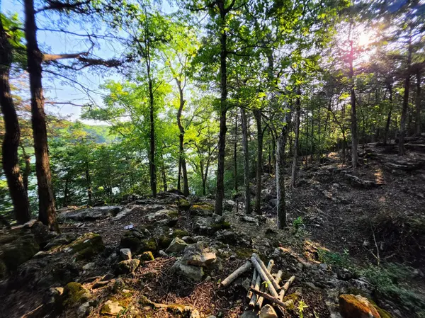 18679 Private Road 2261, Eagle Rock, MO 65641