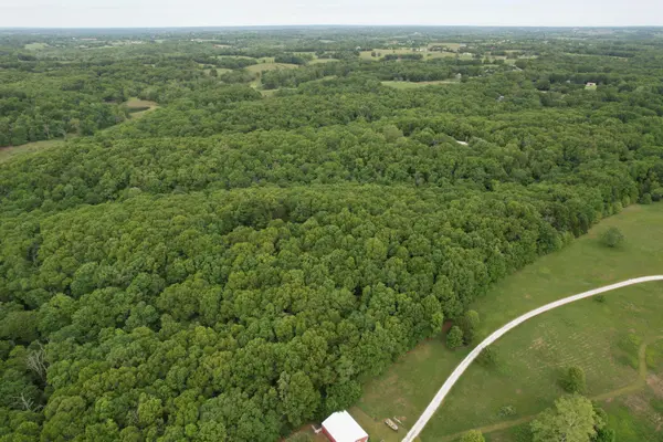 10550 State Hwy A #Tract 3, Crane, MO 65633