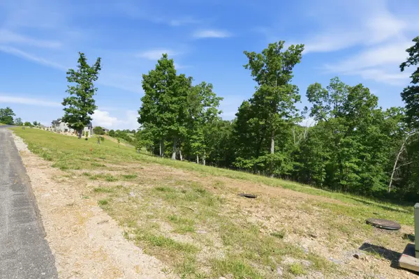 115a,117 Valley DR, Saddlebrooke, MO 65630