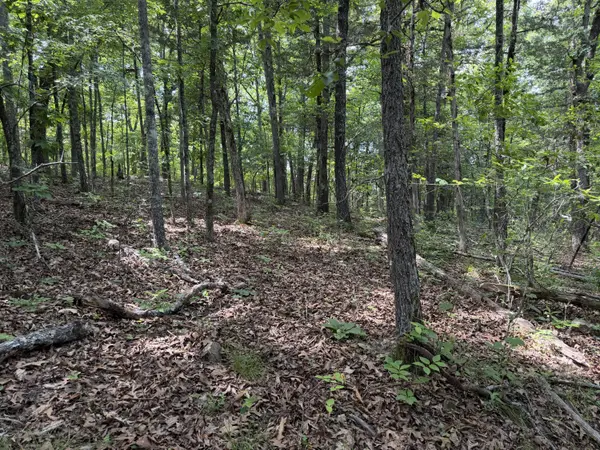 000 Moore Bend RD, Cedarcreek, MO 65627