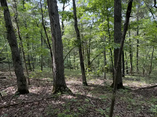 000 Moore Bend RD, Cedarcreek, MO 65627