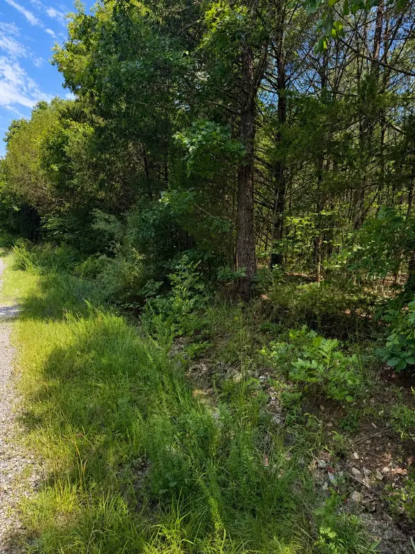 000 Falling Rock RD, Elkland, MO 65644