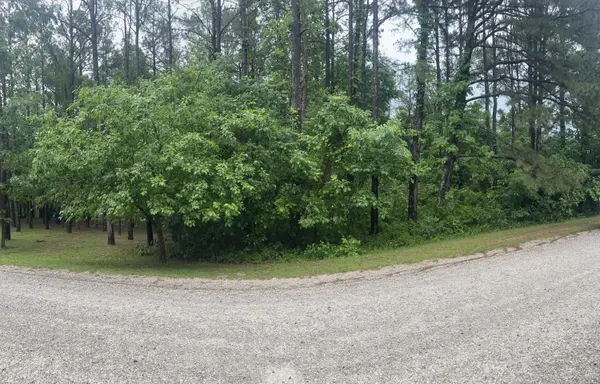 000 Kicking Mule LN, Lampe, MO 65681