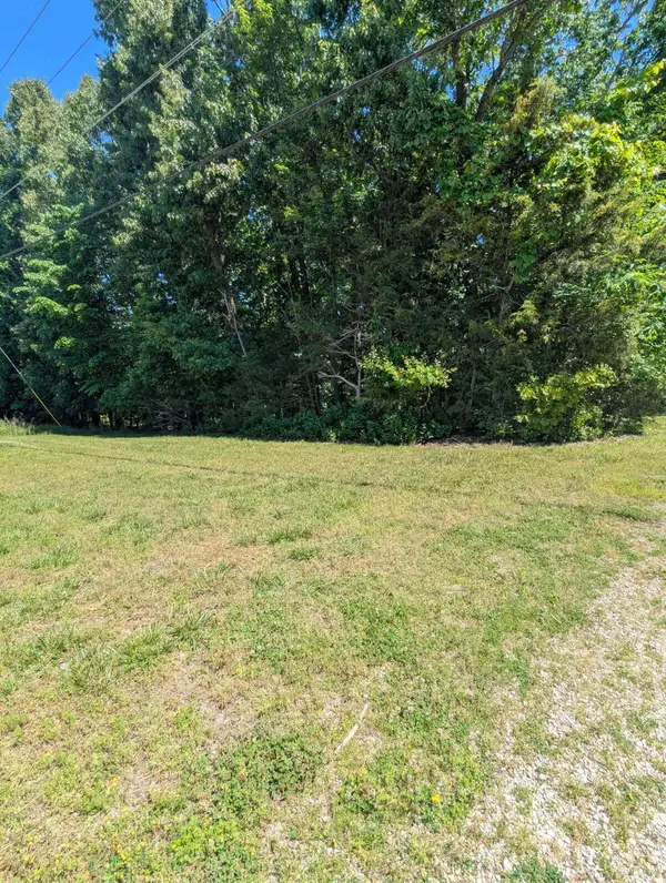000 Fine Drive, Galena, MO 65656