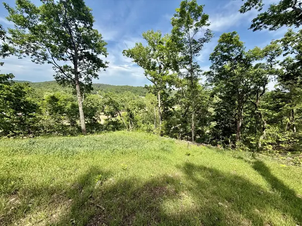 Tract 10 Circle B RD, Eminence, MO 65466