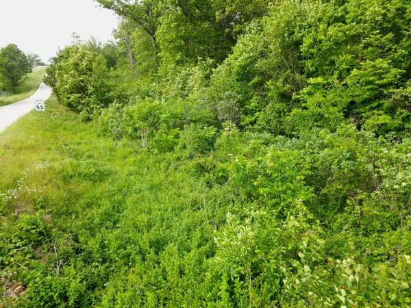 000 State Road Ff, Long Lane, MO 65590