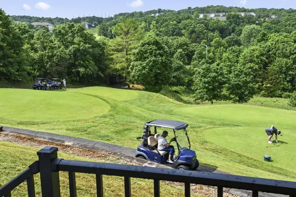 351 S Wildwood DR #Bldg 12 Unit 2, Branson, MO 65616