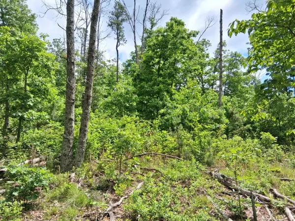 Tbd Golden DR, Raymondville, MO 65555