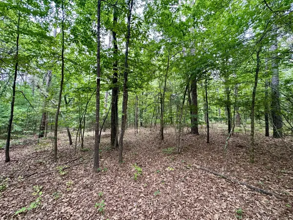 000 Carter 242, Grandin, MO 63943