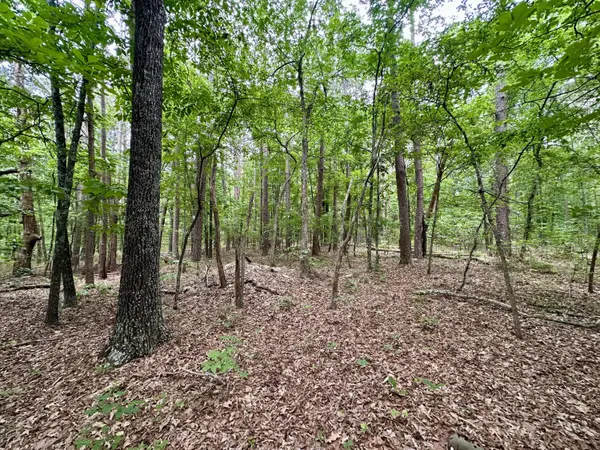 000 Carter 242, Grandin, MO 63943