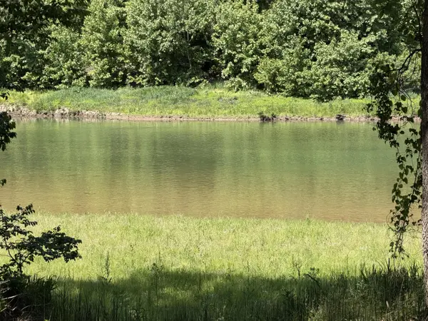 000 County Road 318 #Lot 4, Tecumseh, MO 65760