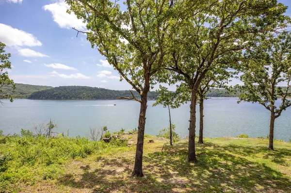 314 6th AVE, Ridgedale, MO 65739