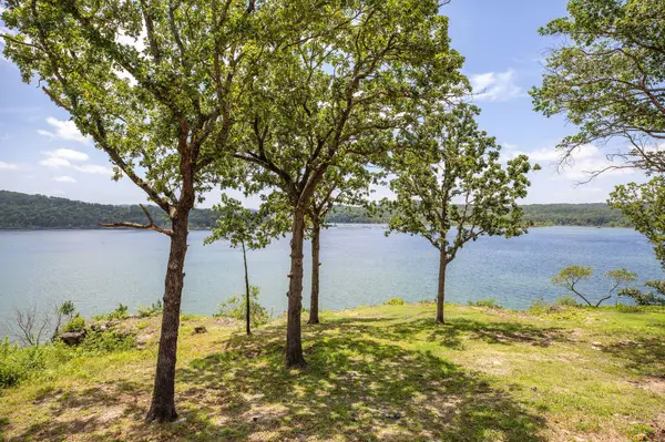 314 6th AVE, Ridgedale, MO 65739