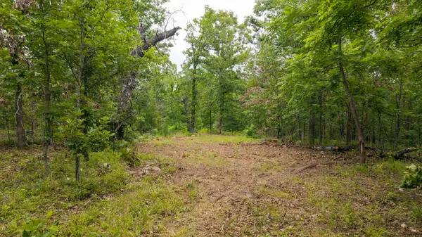 637 County Road 259, Myrtle, MO 65778
