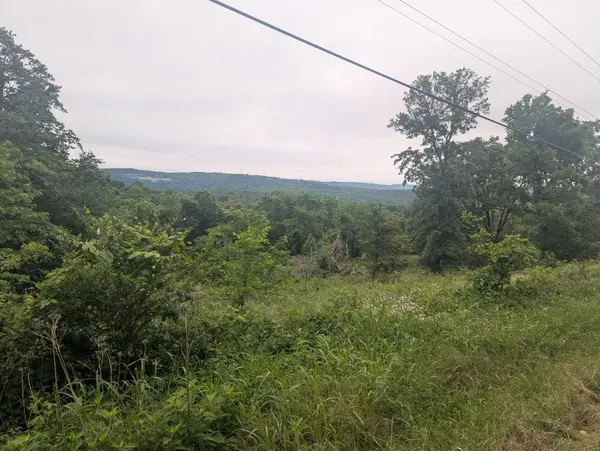 000 Semic LN, Cape Fair, MO 65624